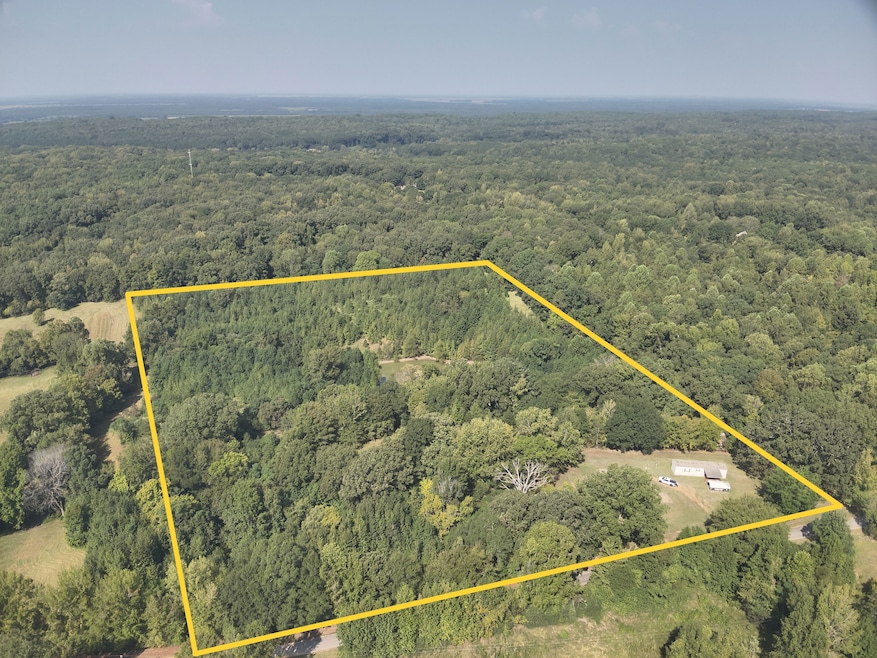 2077 Bethel Church Rd, Holcomb, MS 38940 - photo 1