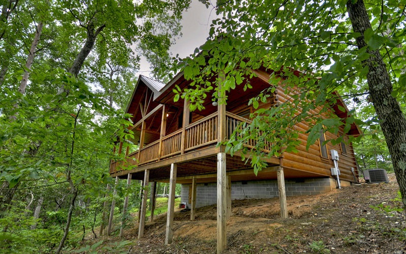 Main View