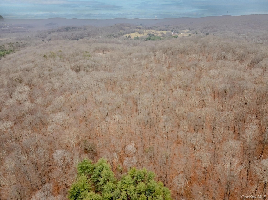 1C Margherita Ln, Pawling, NY 12564 - photo 1