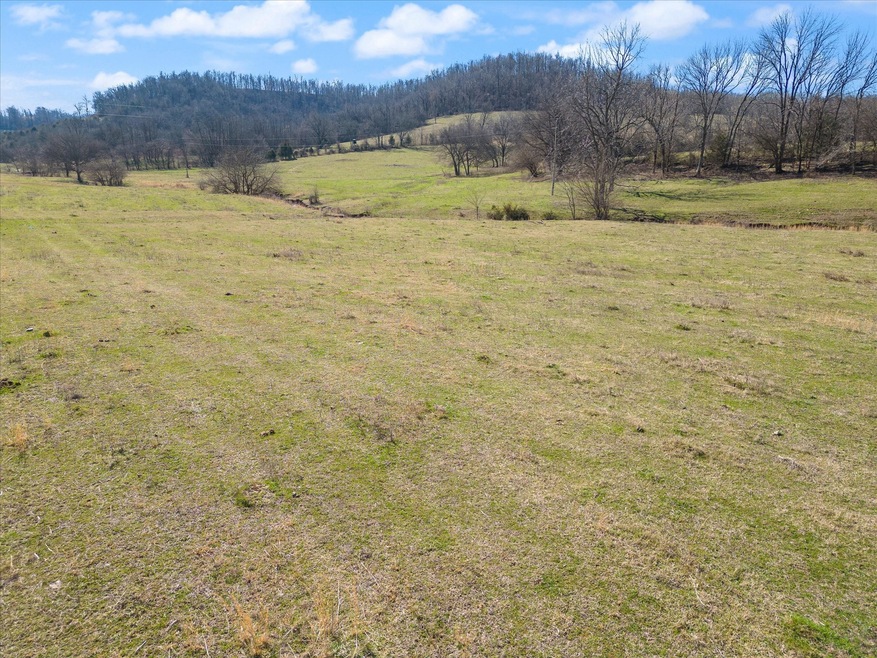 0 Mclaughlin Ln unit RTC2619723, Shelbyville, TN 37160 - photo 1