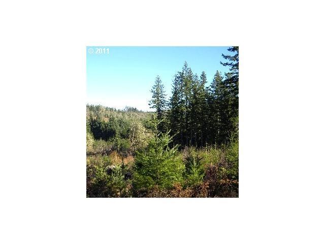 23495 Gooseneck Rd, Sheridan, OR 97378 - photo 1
