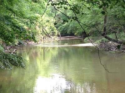 . Old Hwy 51 S, Osyka, MS 39657 - photo 1