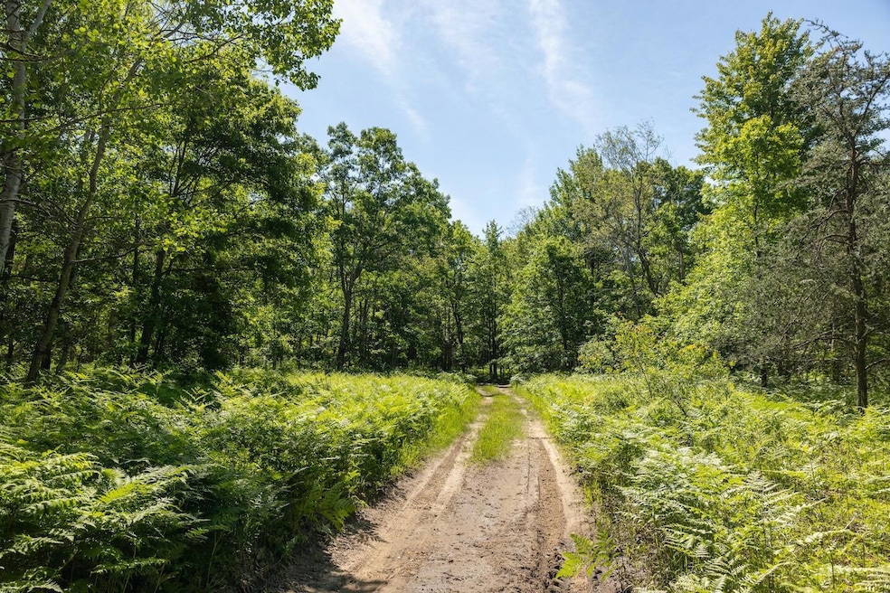 00 V/L Comstock Ave unit Par B, Bitely, MI 49309 - photo 1