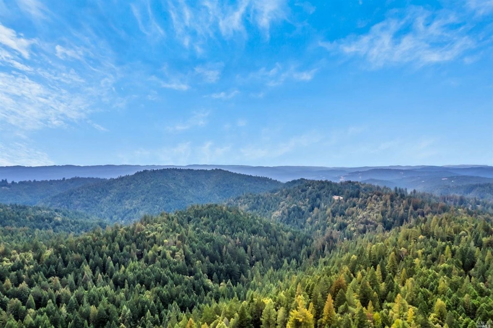 8101 Clow Ridge Rd, Philo, CA 95466 - photo 1