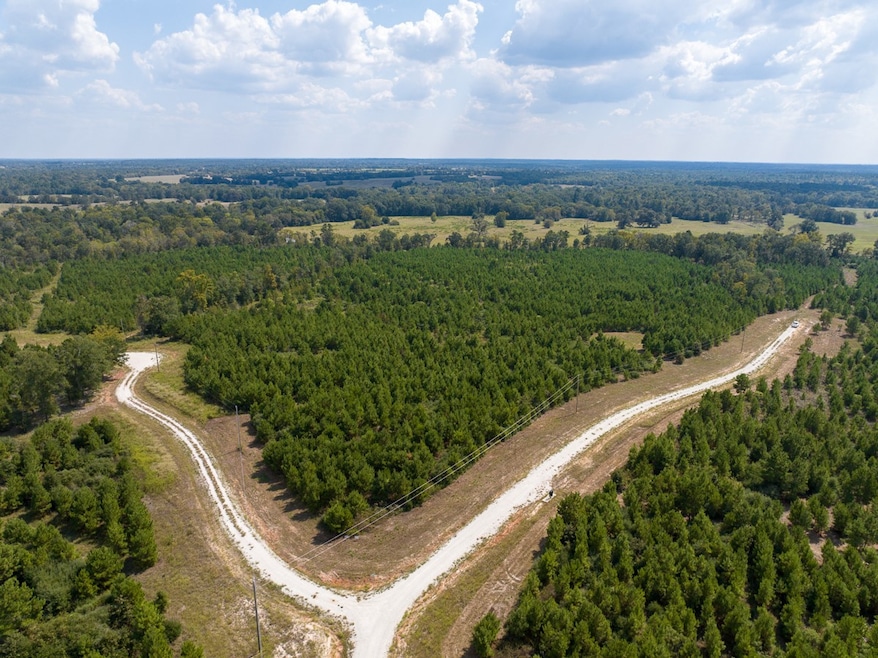 572 Robertson Rd, Lovelady, TX 75851 - photo 1