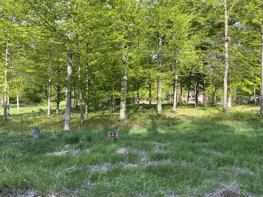 Lot 2