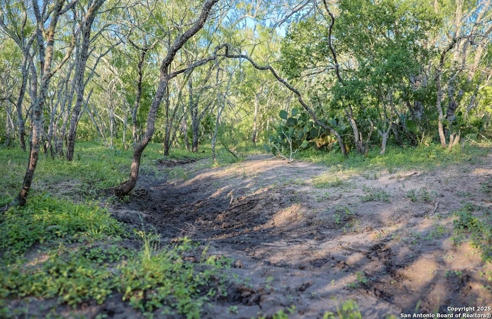 000 County Line Rd # 120, Beeville, TX 78102 - photo 1