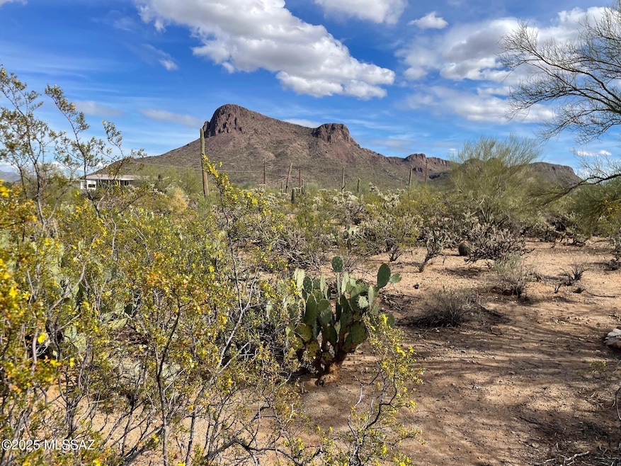 7305 N van Ark Rd unit 1, Tucson, AZ 85743 - photo 1