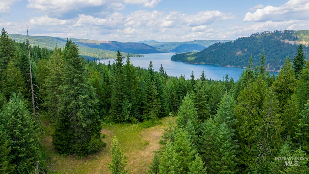 7362 S Dick's Creek Rd, Kendrick, ID 83537 - photo 1