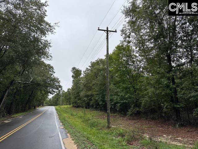 P/O 1375 Fallaw Rd, Gaston, SC 29053 - photo 1