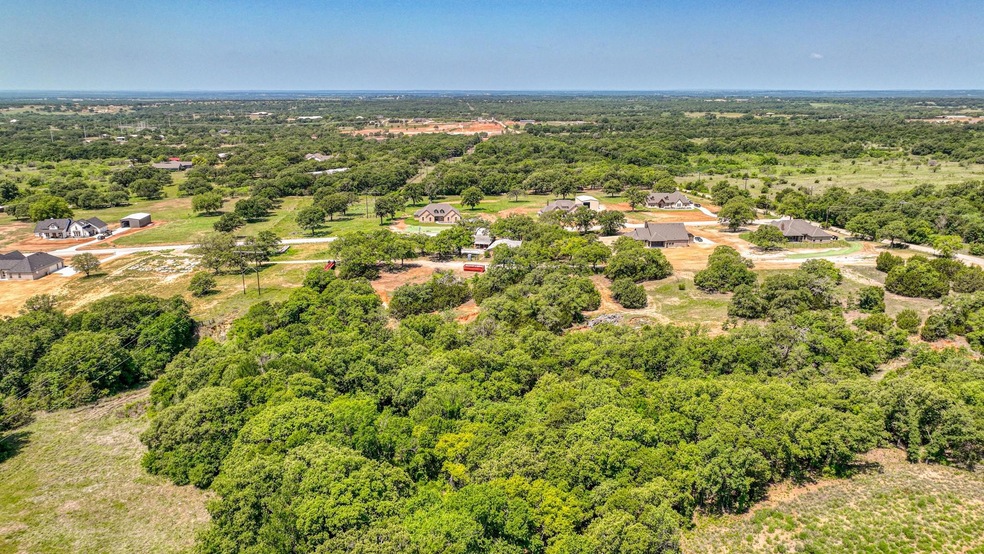 Lot 18 Aslan Rd, Poolville, TX 76487 - photo 1