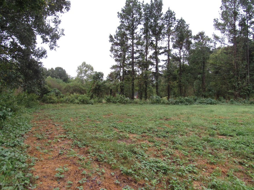 lot 4 view 3