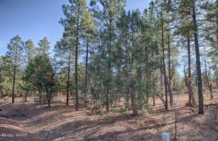 3061 Sage Lane for Sale Torreon Show Low