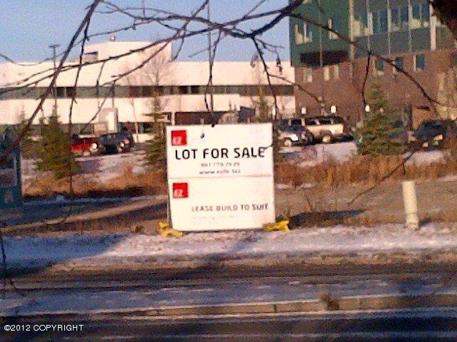 Lot 4 Abbott