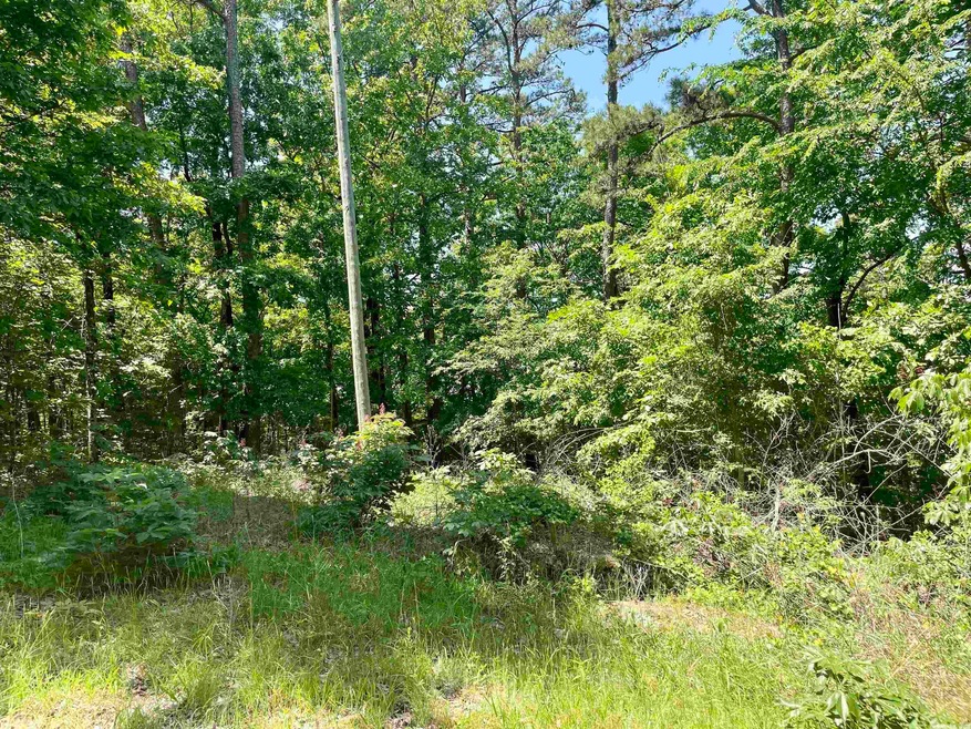 006 Island View Dr, Heber Springs, AR 72543 - photo 1