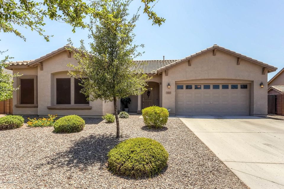 2943 E Ironside Lane Gilbert-large-001-4