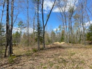 0 That Way Lot #9 unit 1541717, West Bath, ME 04530 - photo 1