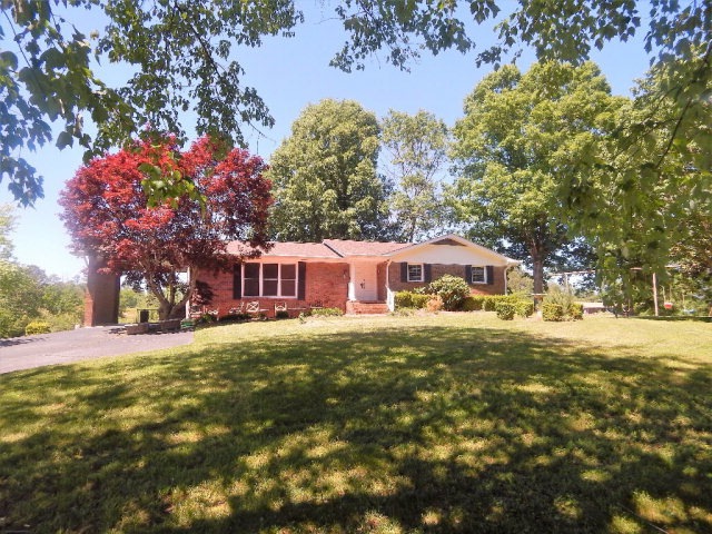 Main View