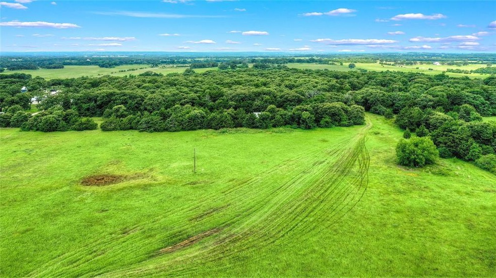 19091 Fm 678, Whitesboro, TX 76273 - photo 1