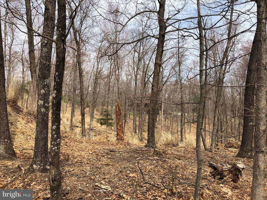 42 Colonial Dr, Berkeley Springs, WV 25411 - photo 1