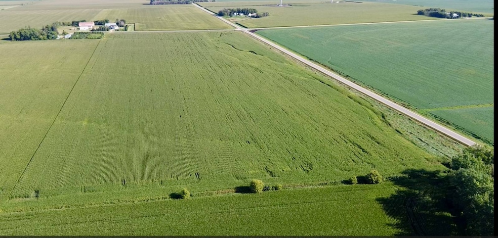 TBD 265th St, Brownsdale, MN 55918 - photo 1