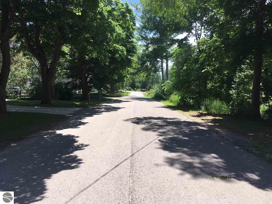 18 Center unit 18, Elk Rapids, MI 49629 - photo 1