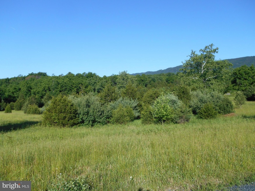 LOT 62 Savannah Dr, District 5, VA 22657 - photo 1