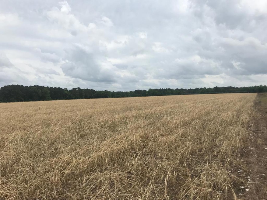 00 Coffee Rd, Thomasville, GA 31757 - photo 1