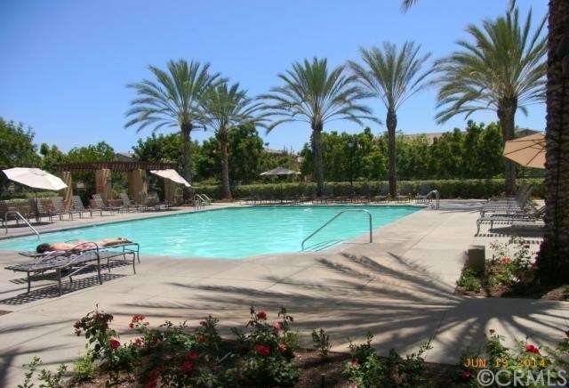 Relax by the Pool