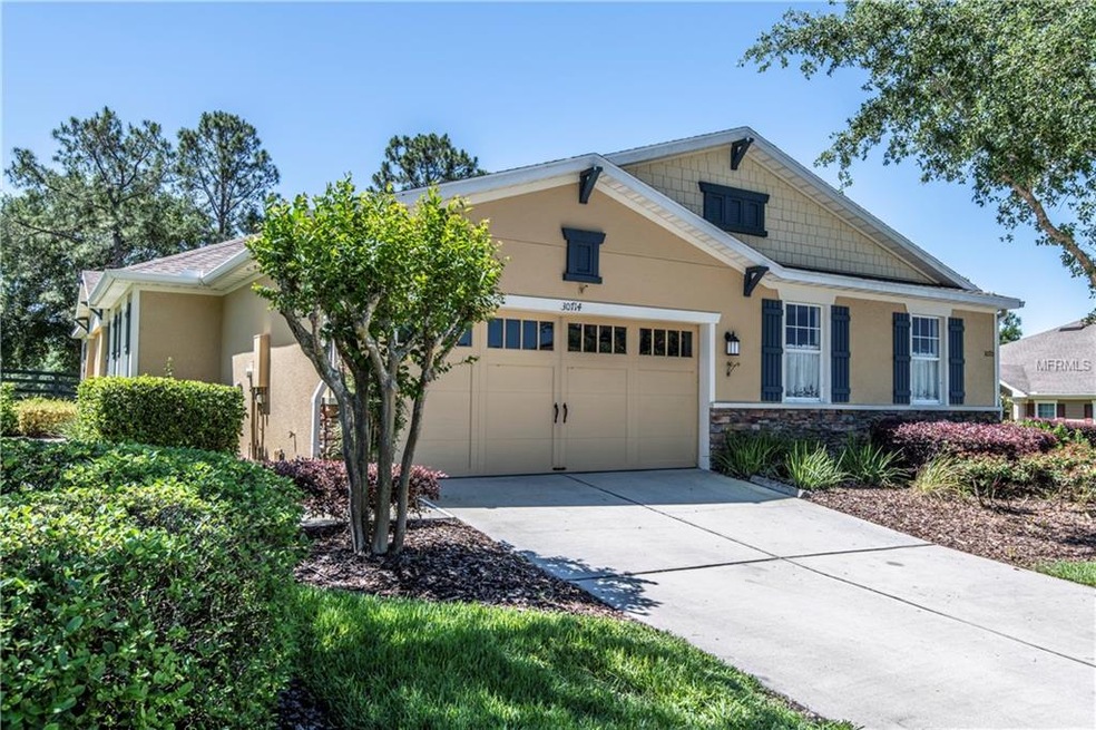 30714 Lipizzan Terrace, Mount Dora, FL 32757 - photo 1