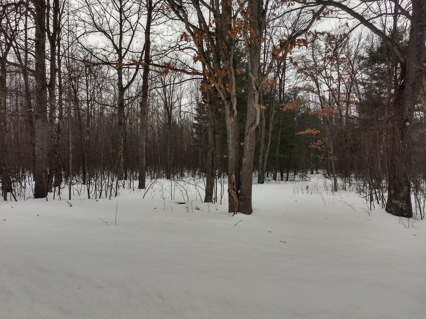IMG_20190223_163742840_HDR
