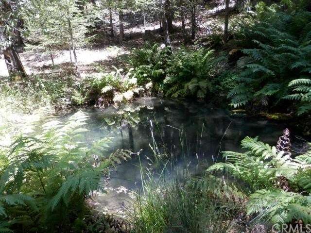 This is the small pond at the head of the spring. 