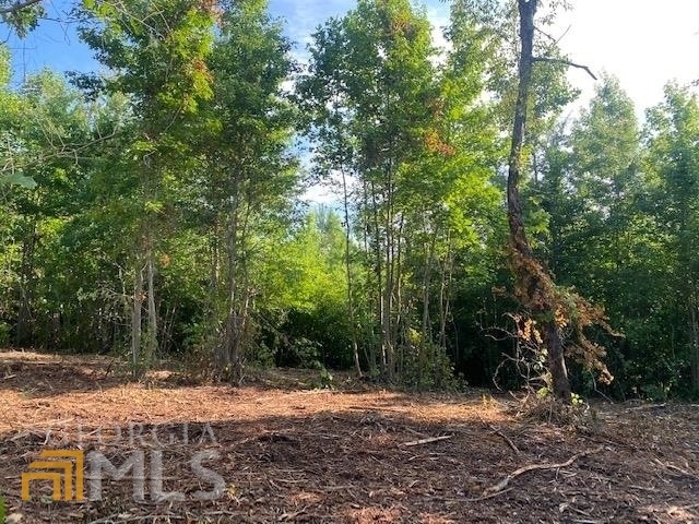 0 Indian Creek Rd unit TRACT 4 20046724, Bowdon, GA 30108 - photo 1