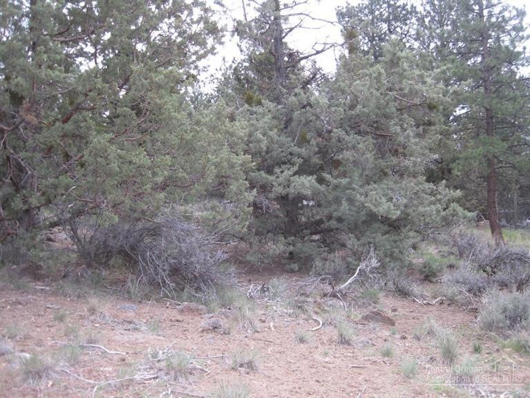 0 NW 7th unit 201502658, Bend, OR 97701 - photo 1