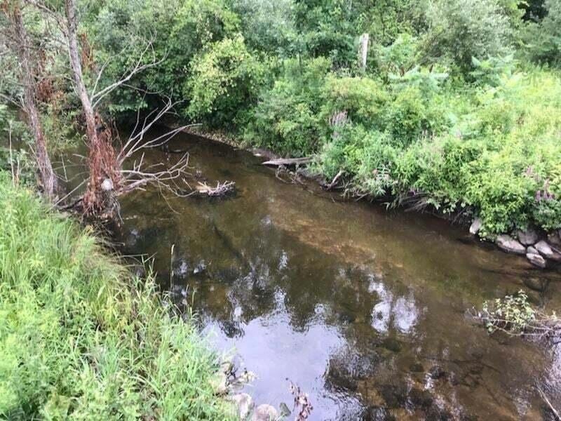 14551 Algoma Ave NE, Cedar Springs, MI 49319 - photo 1