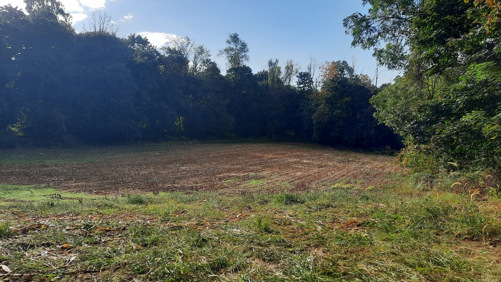 20 Fox Hill Rd, Pomfret, CT 06259 - photo 1