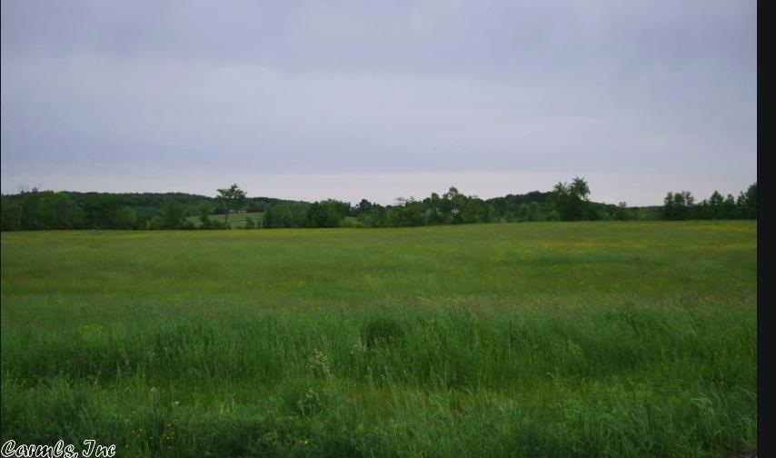 1621 Dan Ave, Jonesboro, AR 72401 - photo 1