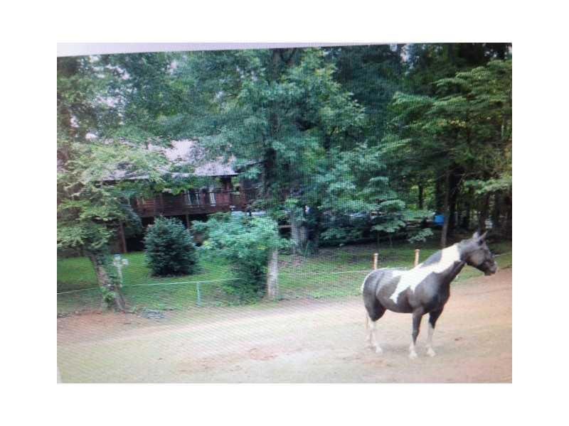 Back Yard. Bring your horses.  This property is al