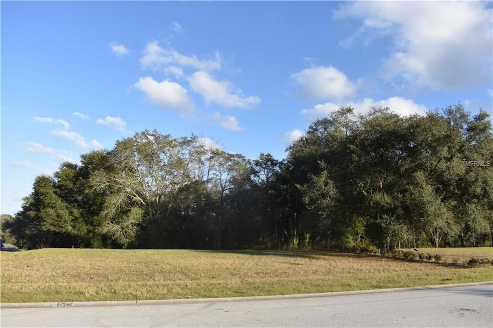 30126 Bretton Loop, Mount Dora, FL 32757 - photo 1