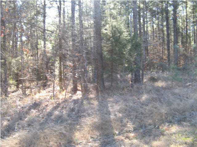 Lot 2 acre lot.