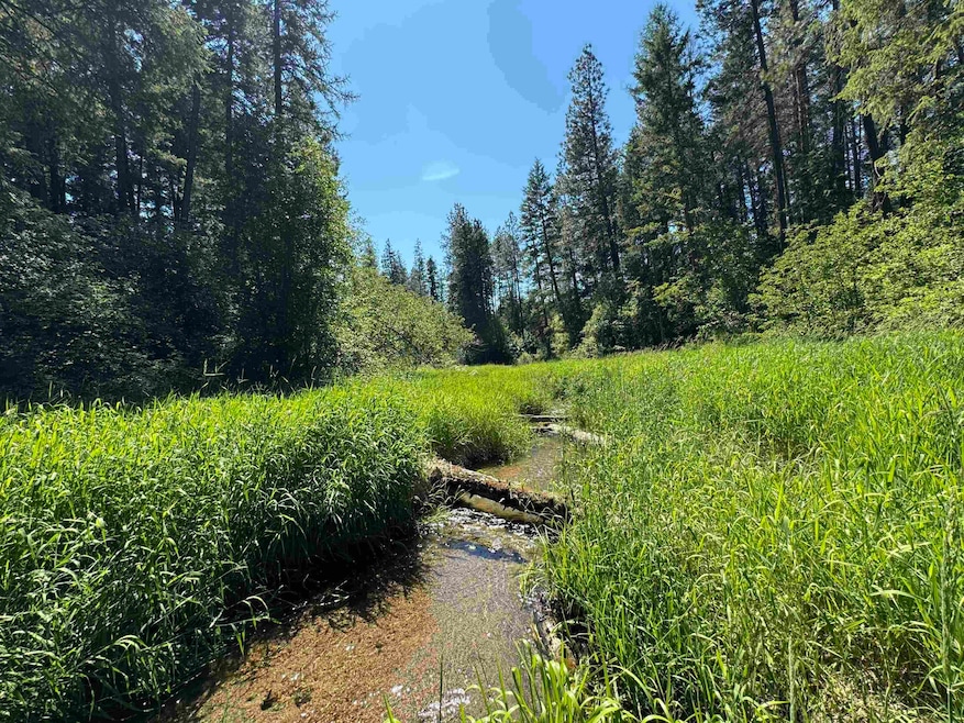 402 N Beck Ln unit Lot 8, Springdale, WA 99173 - photo 1