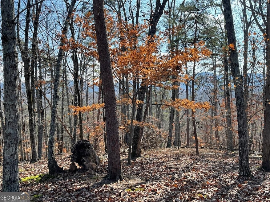 611 Pack Rd NE, Ranger, GA 30734 - photo 1