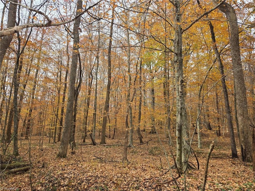 4901 & 4927 Montford Rd, Pfafftown, NC 27040 - photo 1