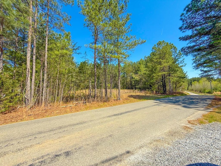 0 Piney Green Rd unit 57113, Nottoway, VA 23930 - photo 1