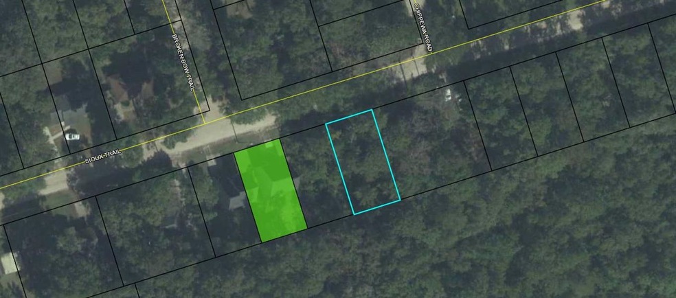 0 Sioux Trail unit 1 284949, Crawfordville, FL 32327 - photo 1