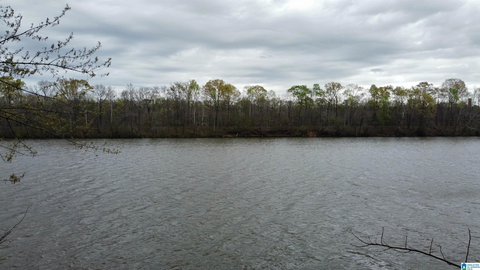 551 Liberty Shores Blvd, Vincent, AL 35178 - photo 1