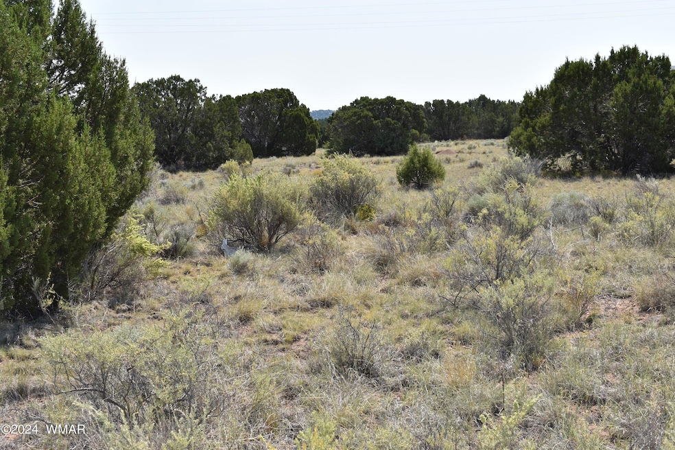 18 Crest Ln, Concho, AZ 85924 - photo 1