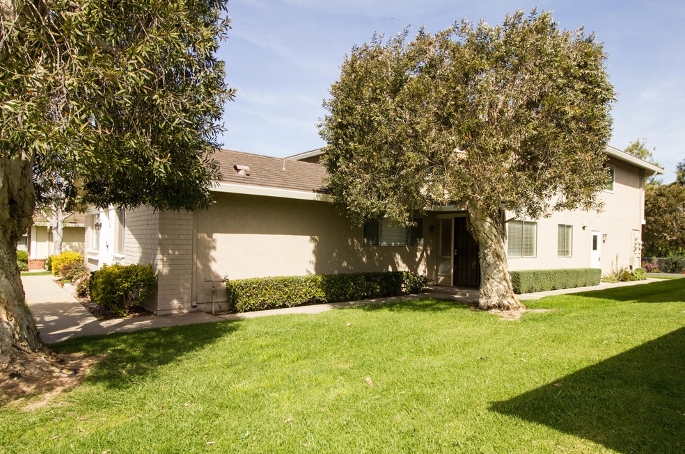 5956 Birch #3