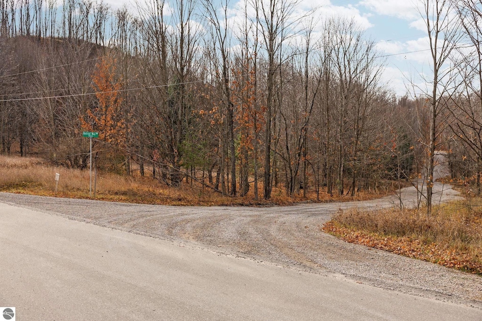 Lot E Retreats Way, Rapid City, MI 49676 - photo 1
