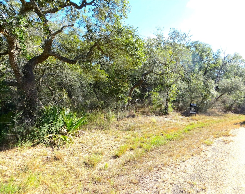 1078 Indian Cir, Altair, TX 77442 - photo 1